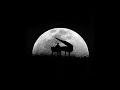 Clair de Lune (Extended) - Clade Debussy - Michael Allen Harrison Solo Piano