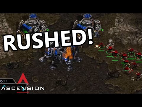 Insane Zerg vs. Terran Strategies - Ascension