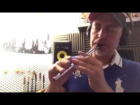 Anxo Lorenzo Playing Lír D Whistle