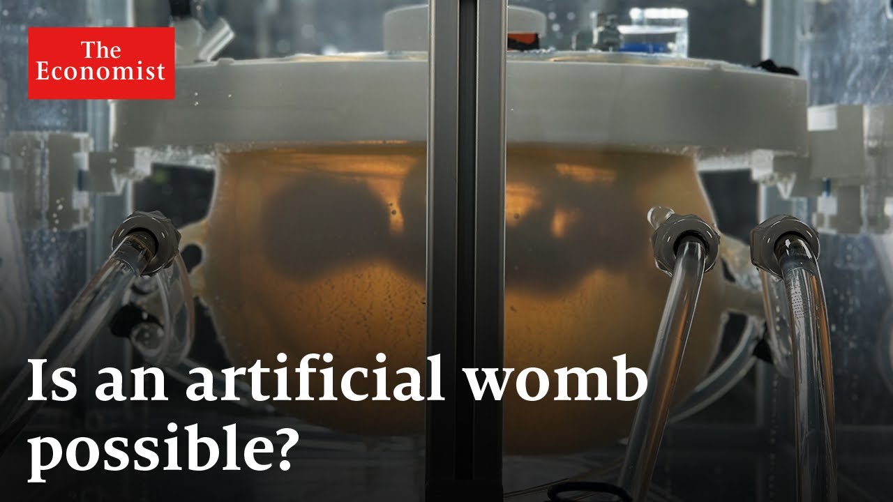 Are artificial wombs the future? Are artificial wombs the future?