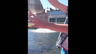 Be free little fish 🐠