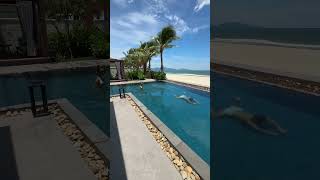 We stayed at this LUXURY RESORT in Danang, Vietnam! 🇻🇳