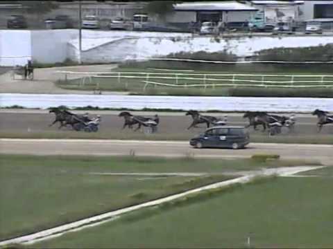 Trotto 29/05/2014 Corsa 1