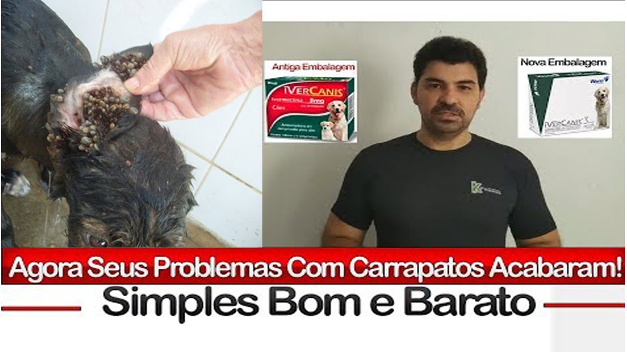 Agora Seus Problemas Com Carrapatos Acabaram! Simples Bom e Barato