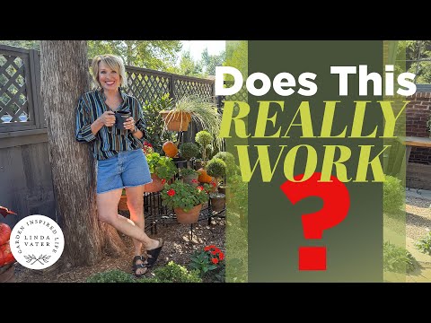 IS IT POSSIBLE? Low Maintenance Garden With Tons Of Blooms 🌳