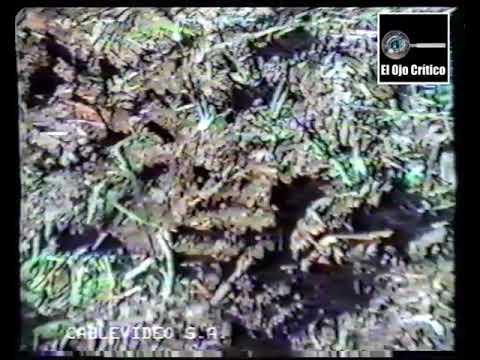 ArchivoEOC OVNIS Llegaron tambien a Viale - documental casero argentino