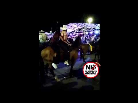 Cabalgata de Buga 2023, Vergüenza Nacional.