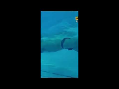 Qiu Bo 626B 10s #shorts