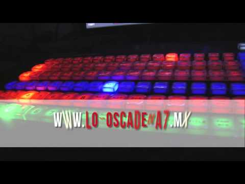 Lobos Cadena 7 Noticias Digital