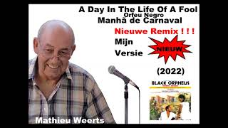 A Day In The Life Of A Fool - Mathieu Weerts 2022