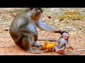BECAUSE OF MANGO MOM ANNA HIT ALBA TILL COLLAPSED BABY ALBA CRYING LOST CONTROL