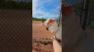 Take me out to the ball game 🎶