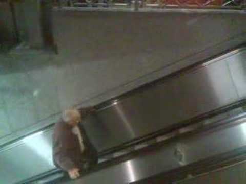 Galopper des Jahres (DRUP)