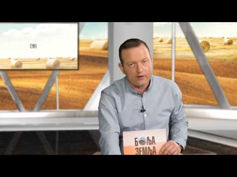 Ne nasedajte -  visnja mora da ima dobru cenu 2017.