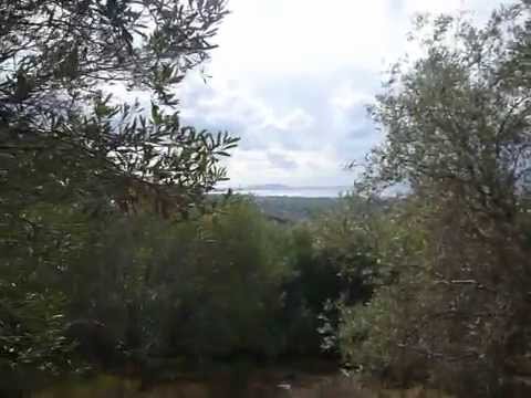 IMMOBILIEN  www.intergreek.net REAL ESTATE greece CORFU KORFU KERKYRA