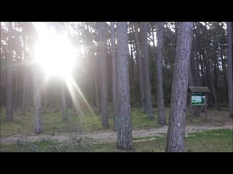 2023 10 05     19 09 2023 Spacerując po Łukęcinie  Ośrodek wypoczynkowym UW BAJKA w Łukęcinie   cz 2