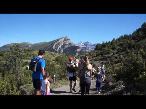 Renee Sunbird - Asato Ma Sad Gamaya