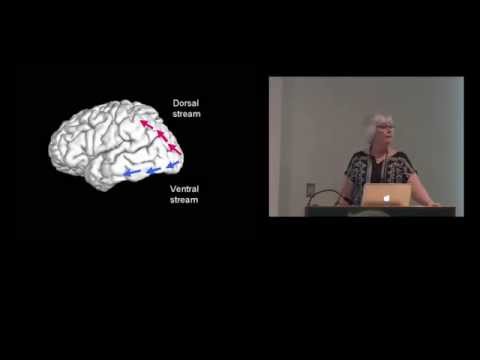 Part 3: CVI Discussion - Evaluation, Theories, Assessment and Strategies