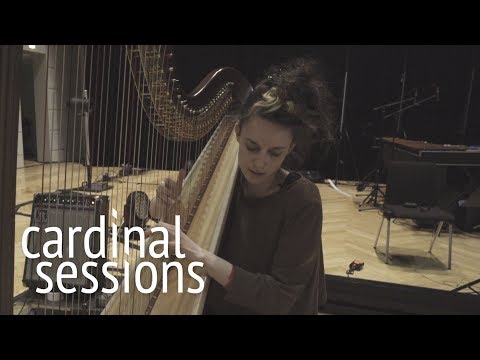 Linda Vogel - No Man Is An Island - CARDINAL SESSIONS