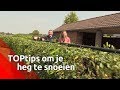 Birgit krijgt snoeitips voor de haag
