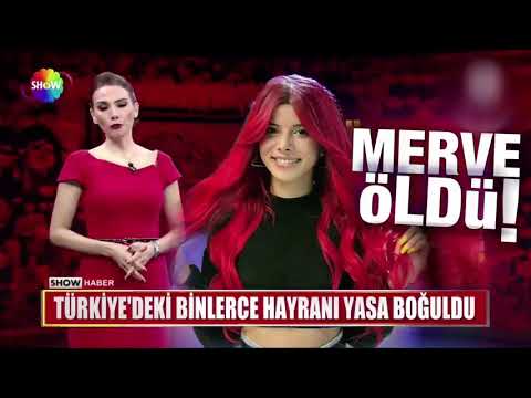 Merve yalçın öldü (╥﹏╥) #merveyalçın #showhaber #tiktok