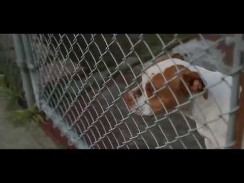 Rico Mazzi - Never Been a Basic ft. Lil Benny , Millionz | Dir. @WETHEPARTYSEAN