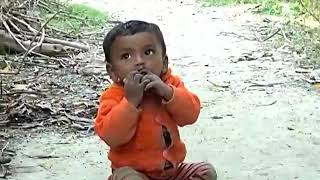 পাথরঘাটা উপজেলার সৌন্দর্য্য লীলাভূমি