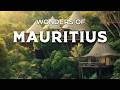 Wonders Of Mauritius Amazing Places To Visit In Mauritius Travel Video 4K