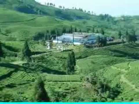 Timile nasamjida maya beglai hudo rahechha...by mallika karki..