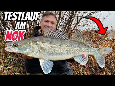 ANGELN am NORD-OSTSEE-KANAL. Kurze Session mit REICHLICH FREQUENZ.