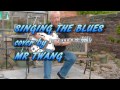 SINGING THE BLUES Guitar Instrumental Terry Brain