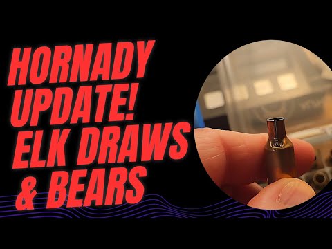 Hornady American Gunner vs. Hornady Critical Defense: post-shoot analysis \u0026 LCP test result