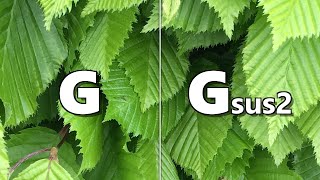 G to Gsus2 Backing Track
