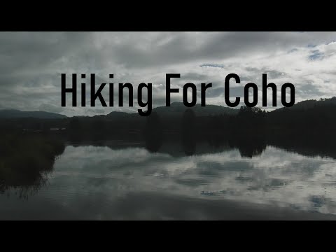 Hiking For Coho