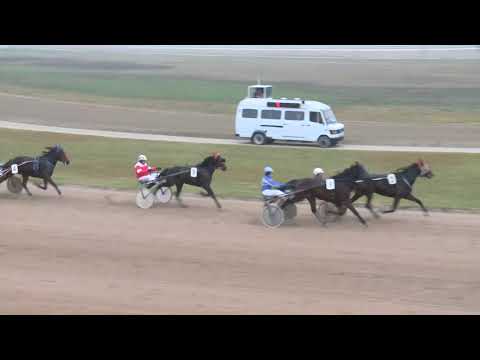 2017.11.25. 1. futam - HANSA DÍJ