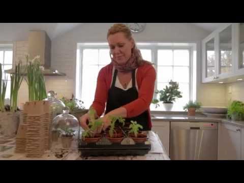 Granngården - tipsar om hur du förodlar