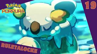 Pokémon Púrpura RuletaLocke Ep.19 - PREPARATIVOS PARA EL GIMNASIO!!
