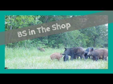 ATN X-Sight 3x14 Gen II vs ATN X-Sight 3x12  Gen 1