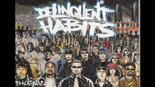 07 - Delinquent Habits - Lower East Side
