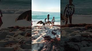 Spread your wings, it time to fly