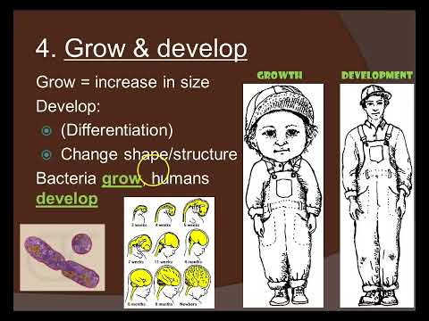 生活的特點 (Characteristics of Life)