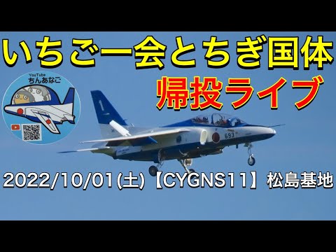 2022年 いちご一会とちぎ国体 ブルーインパルス YouTubeライブ配信アーカイブのサムネイル 3