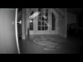 Dust Particle Debunk Test