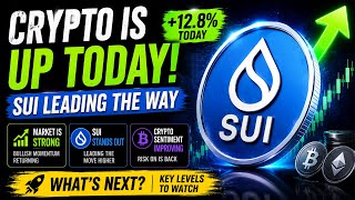 🚀 SUI Leading the Crypto Rally | Market Strength Breakdown #trading #crypto #sui #bitcoin #stocks