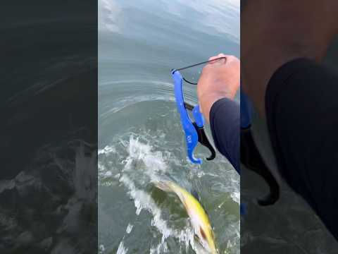 #minaçu #goiás #lugareslindos #pescaria