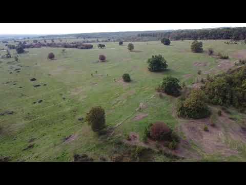 TEST DRIVE ...DJI MINI 2...TRASEU VITOAREA AUTOSTRADA LD2.. MARGINA -HOLDEA