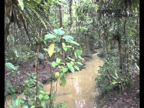 download lagu mp3 mp4 Dtubes, download mp3 Dtubes free download mp3, download mp3 Dtubes