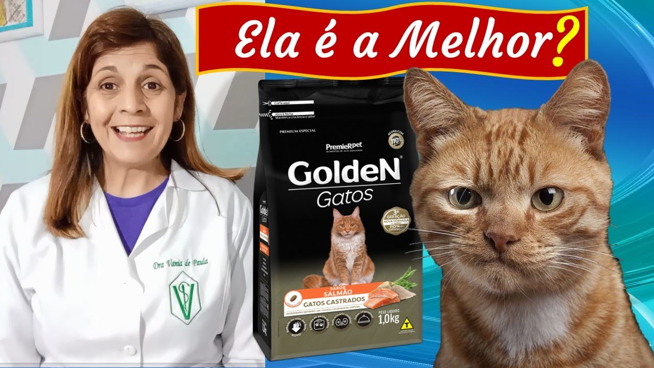 Ração Golden para Gatos é a Melhor? Pet Vida Saudável