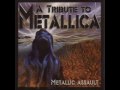 Metallic Assault - Tribute to Metallica - Nothing else ...