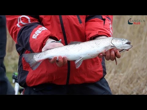 ANGELNplus EXKLUSIV - Unterwegs mit den Profis - Folge 4: Am Forellensee Teil 2 | Trailer